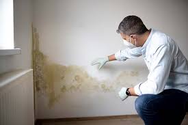 Professional Mold Removal in Tioga, ND